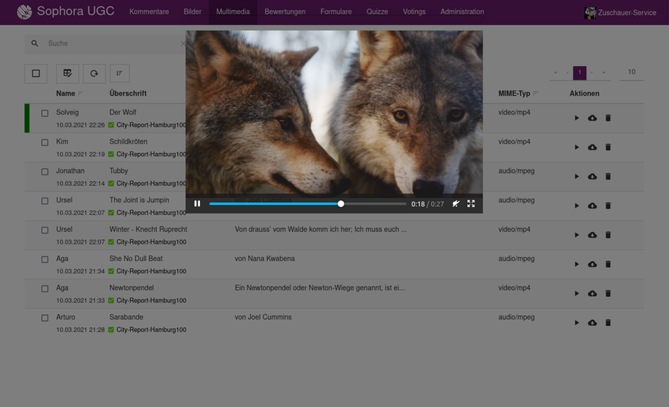 Preview video in the browser Preview video in the browser