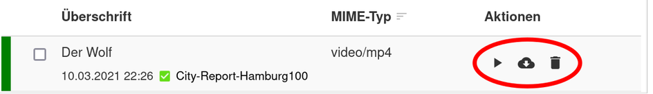 File actions: Preview, download and delete A table which lists one file with the headline "Der Wolf" and the MIME type "vido/mp4". On the right, three action buttons are highlighted.