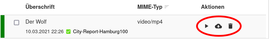 A table which lists one file with the headline "Der Wolf" and the MIME type "vido/mp4". On the right, three action buttons are highlighted.