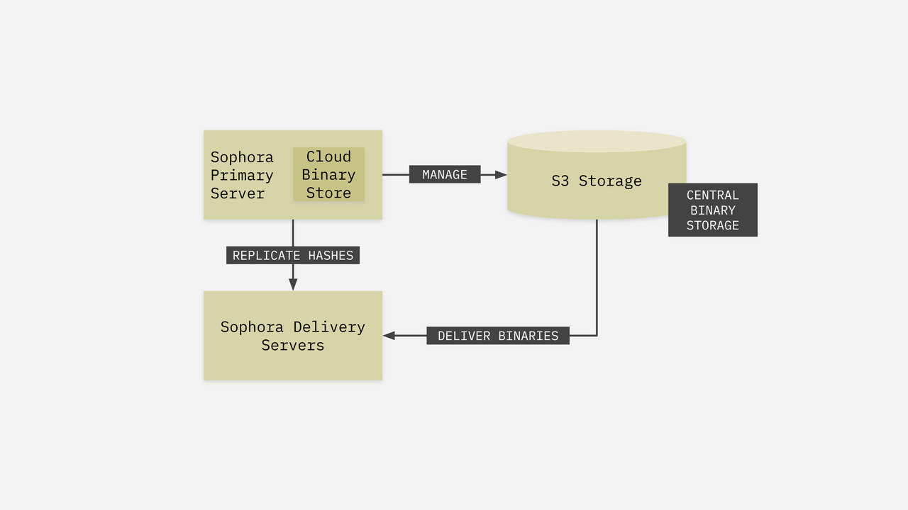 Schematic Overview of Sophora's Central Binary Store (CBS)